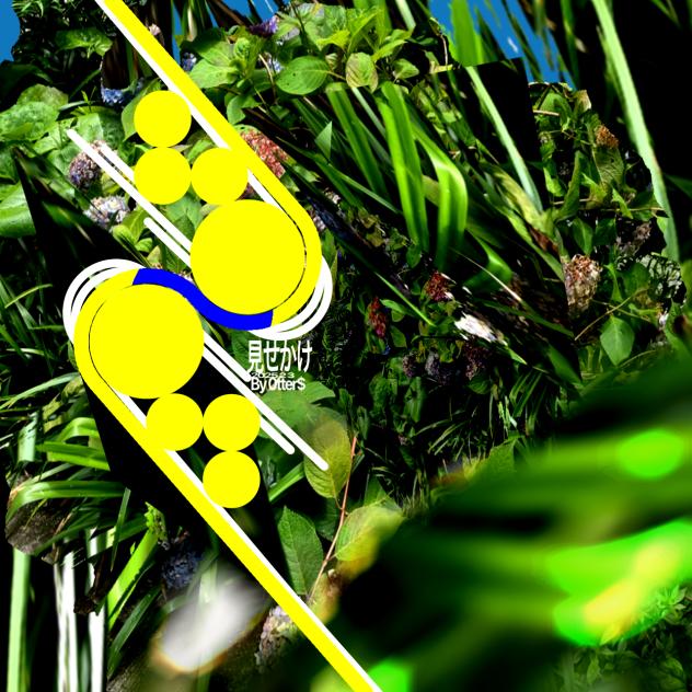 見せかけ