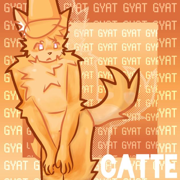 Catte KP
