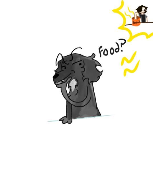 My dog