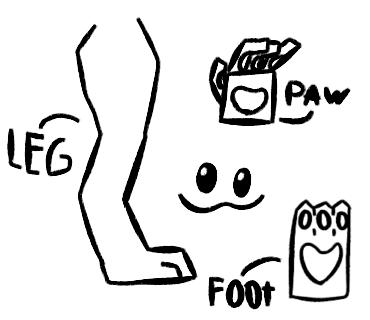 legs, feet and paws