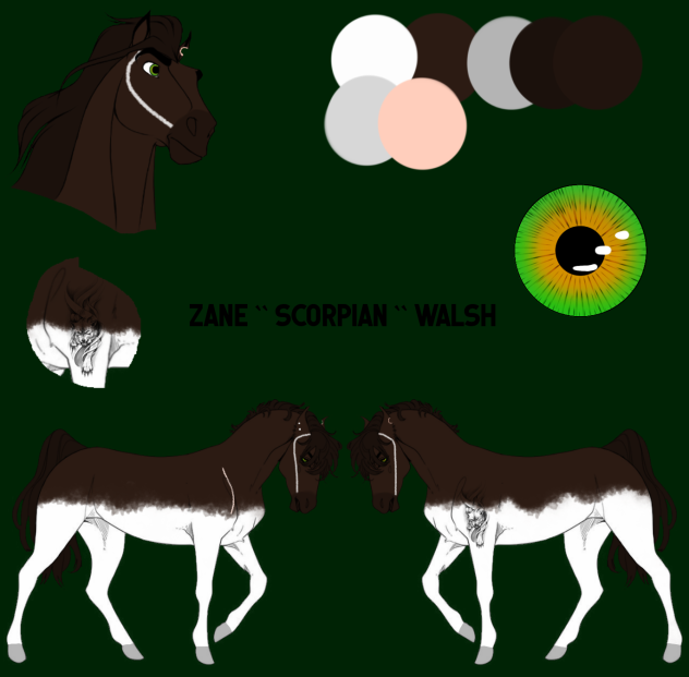 Zane ``Scorpian`` Walsh Reference Sheet