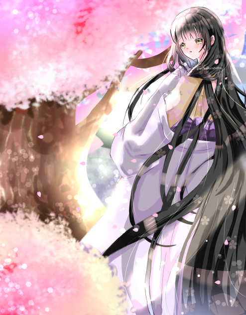春の美しさ🌸