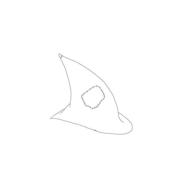witch hat