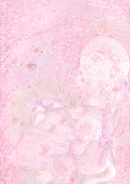 cherry blossoms