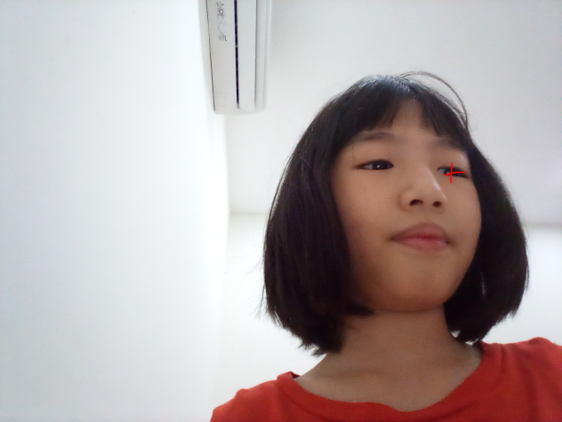 Roblox character be like lul