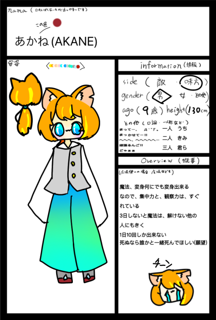 カイト