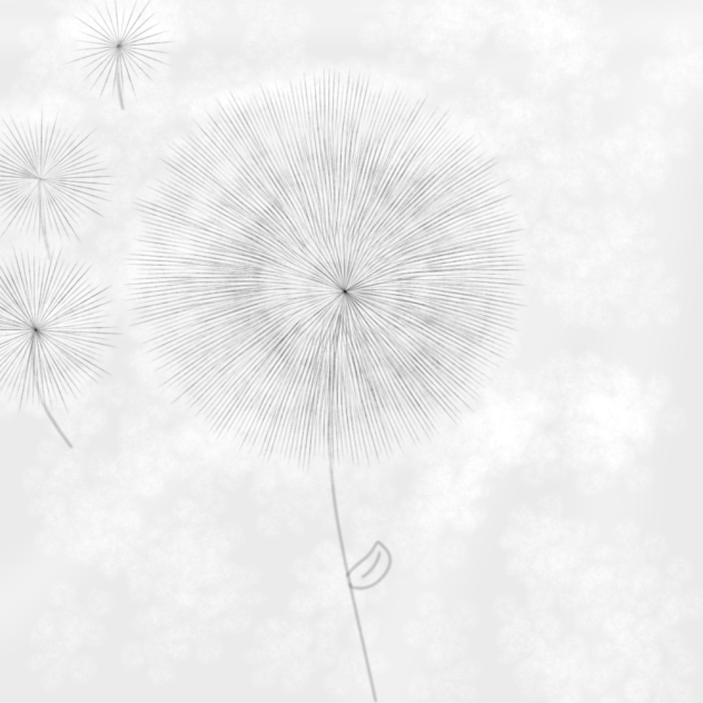 dandelion 1