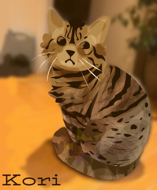 😼😼