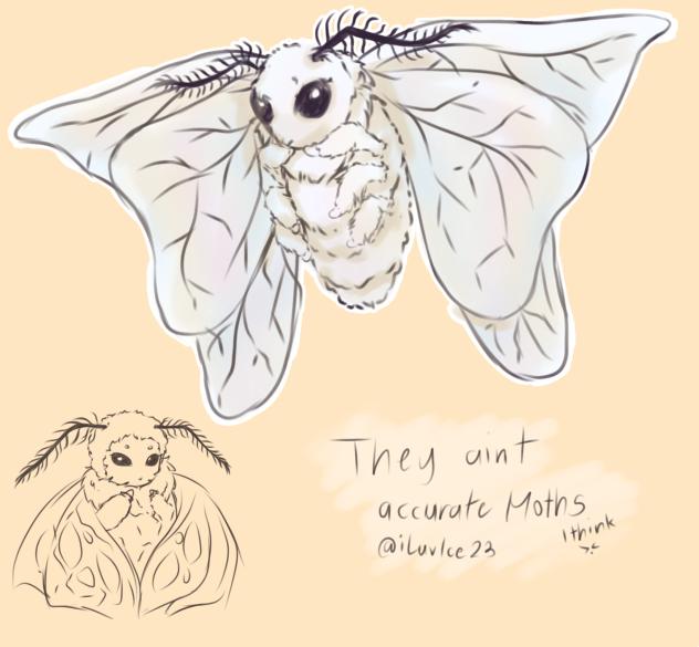 ☆ Moth ☆