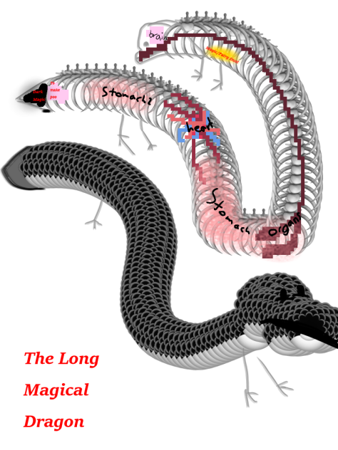 The Long Magical Dragon