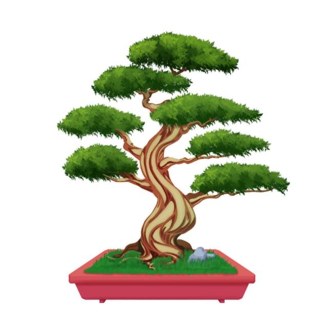 Bonsai tree