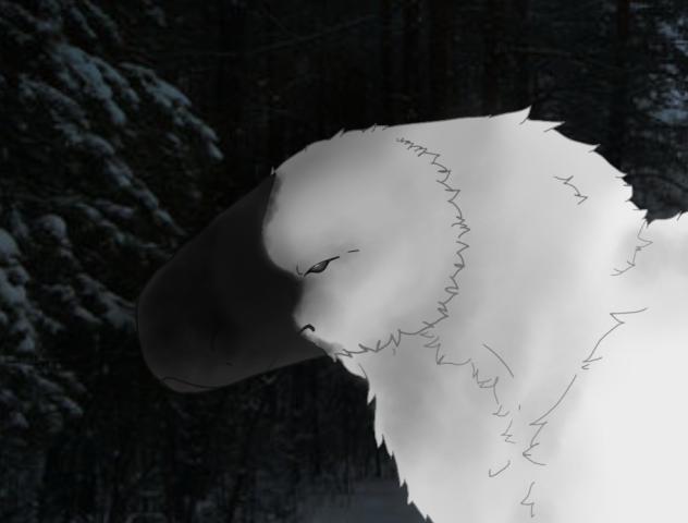 the Yutyrannus
