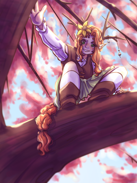 Hermit Gem Timelapse