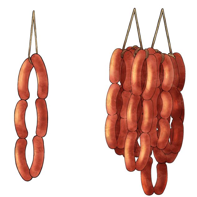 吊るしソーセージ（カラー）