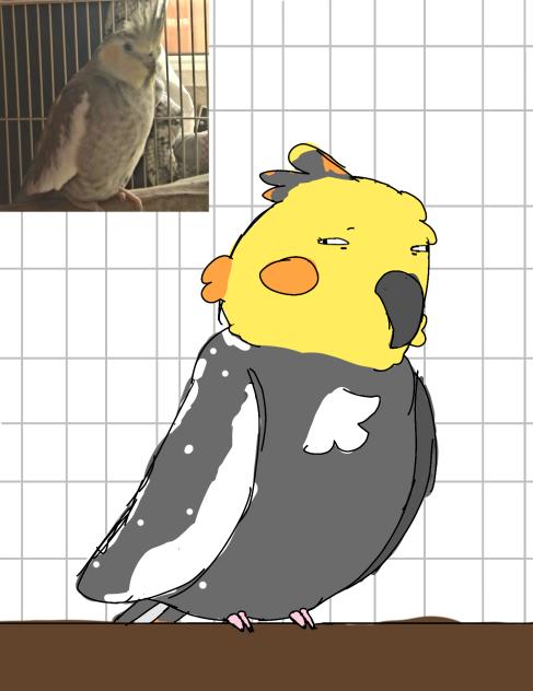 bird - ibisPaint