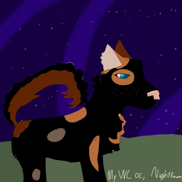 DONT MIND THE SPEED PAINT