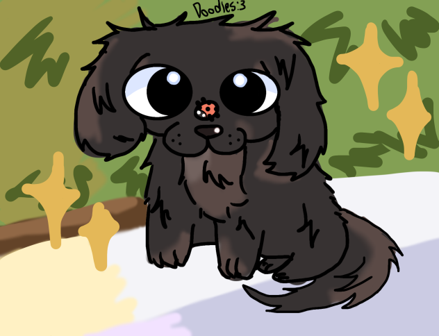 Capuccino the dog🐶✨