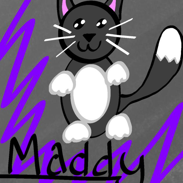 It's a cat