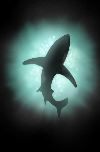 サメと海