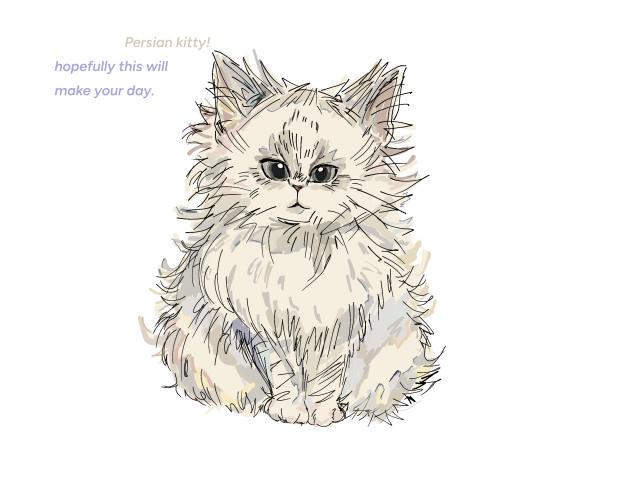 A Persian kitty. ♥️