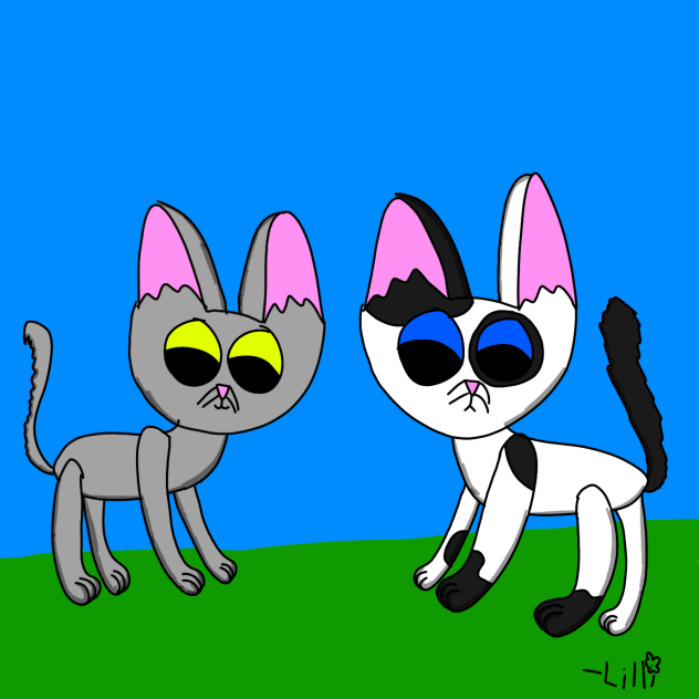Darktail and Hawkwing l Warrior cats