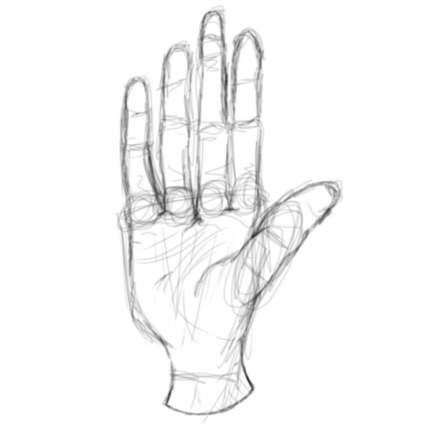 hand anatomy ibisPaint