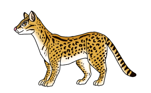Visayan Leopard Cat