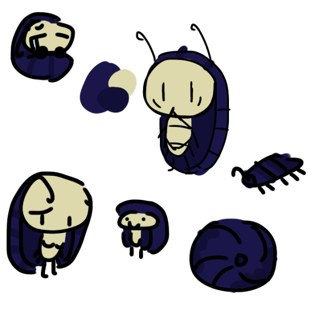 pill bug