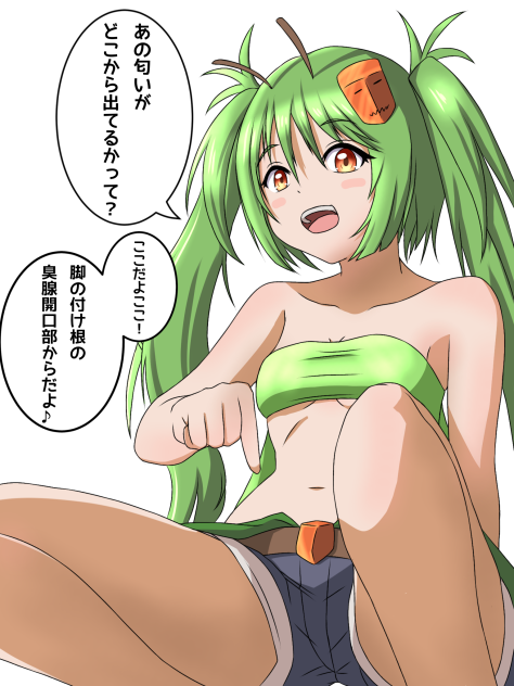 カメムシの生態