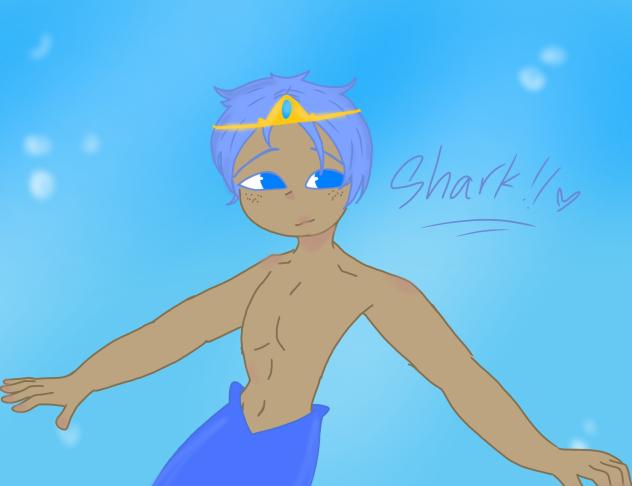 Shark 🦈