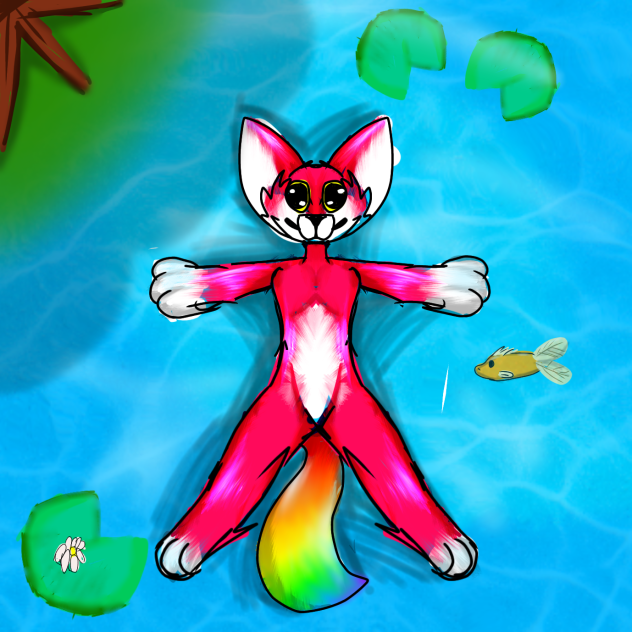 cat in water