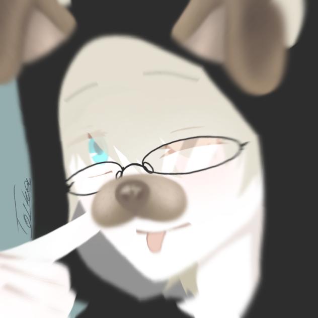 puppy boy