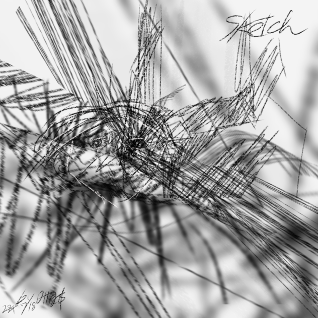 Sketch
