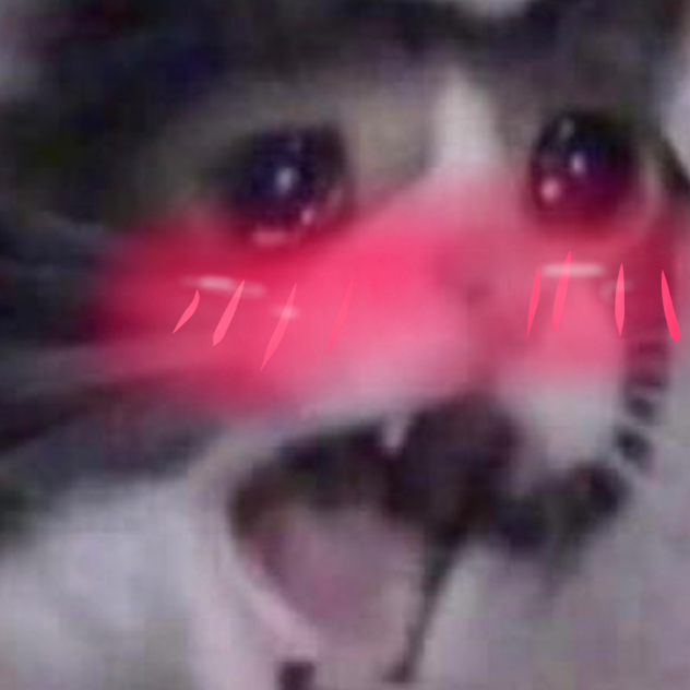 JDKSJGJDKJG-
