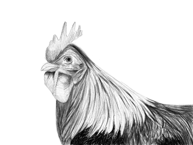 38 Sem Título - ibisPaint