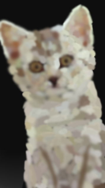 another cat - ibisPaint
