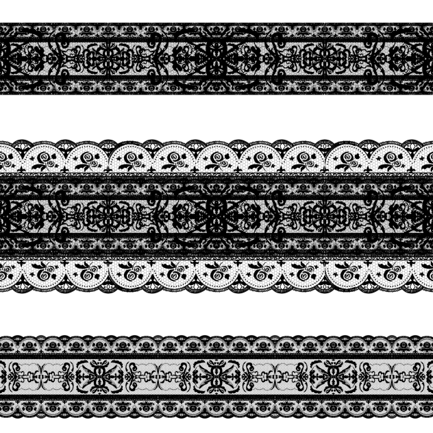 IBM3110 lace c