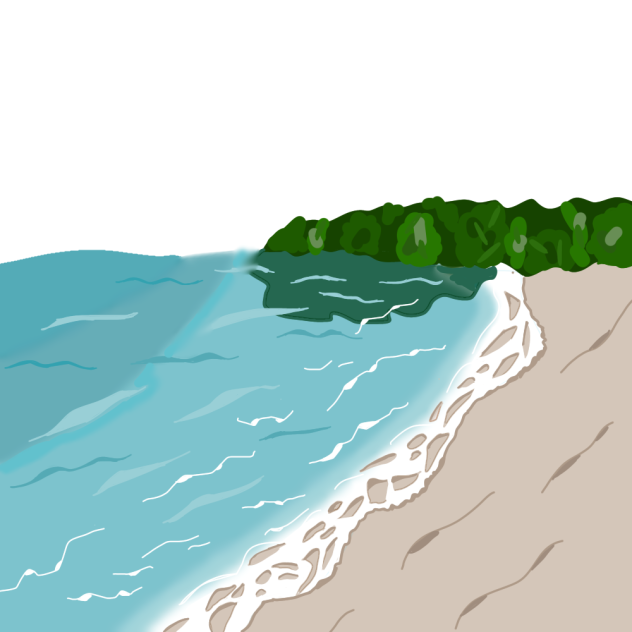 海と森