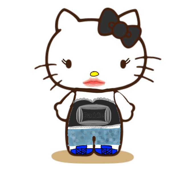 Baddie kitty