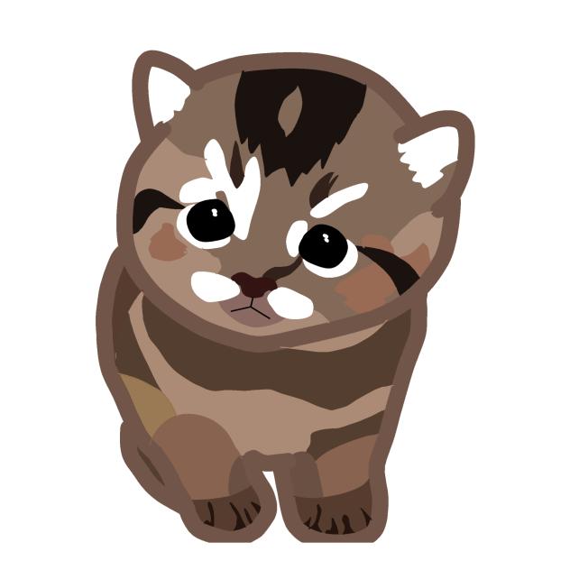 KITTEN AWWWWWW