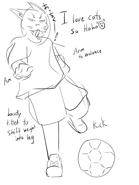 猫ちゃん　キック