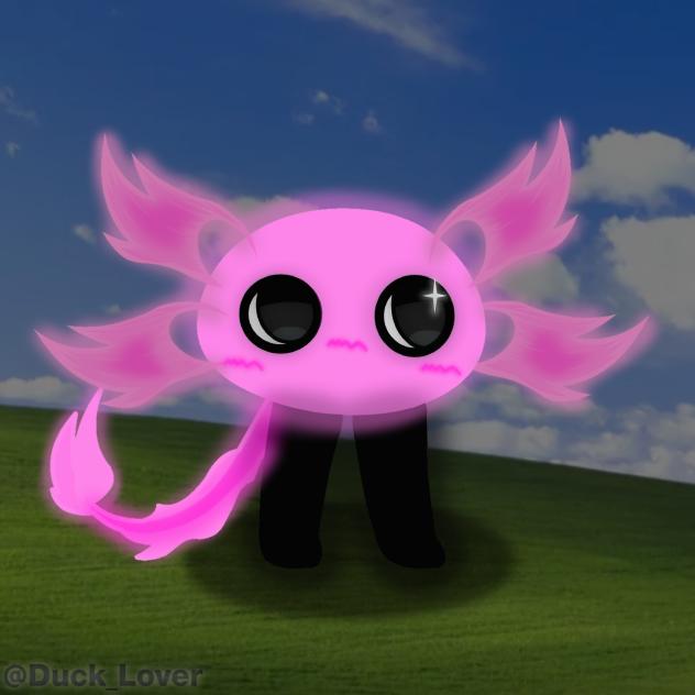 Kinitopet glows