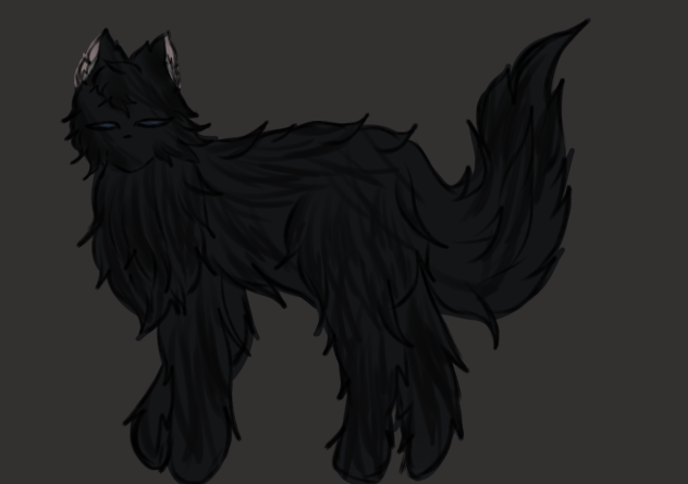 ^ Oaks Cat ^