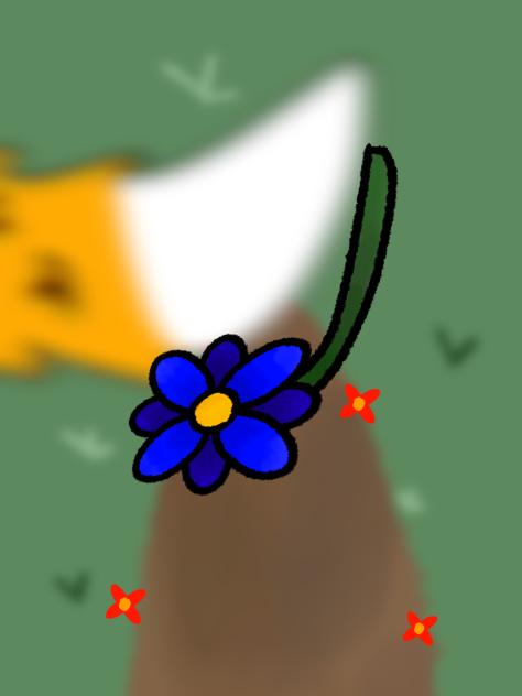 “Her favorite color was always blue”