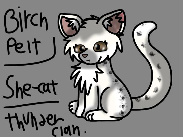 Warrior Cats. BirchPelt.