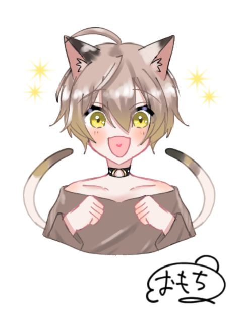 🐈✨