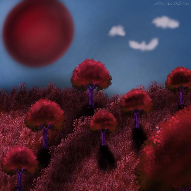 Blood Moon ♥️