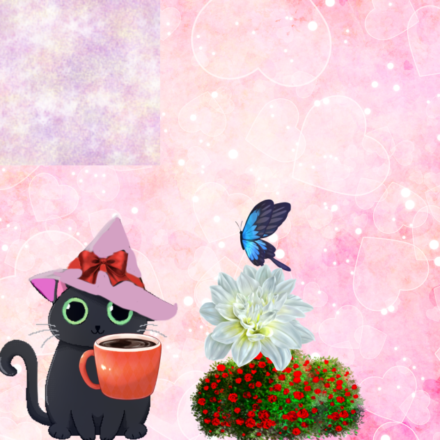 Cats world