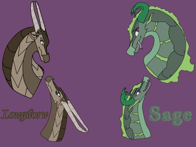 My Girlie's Longhorn and Sage