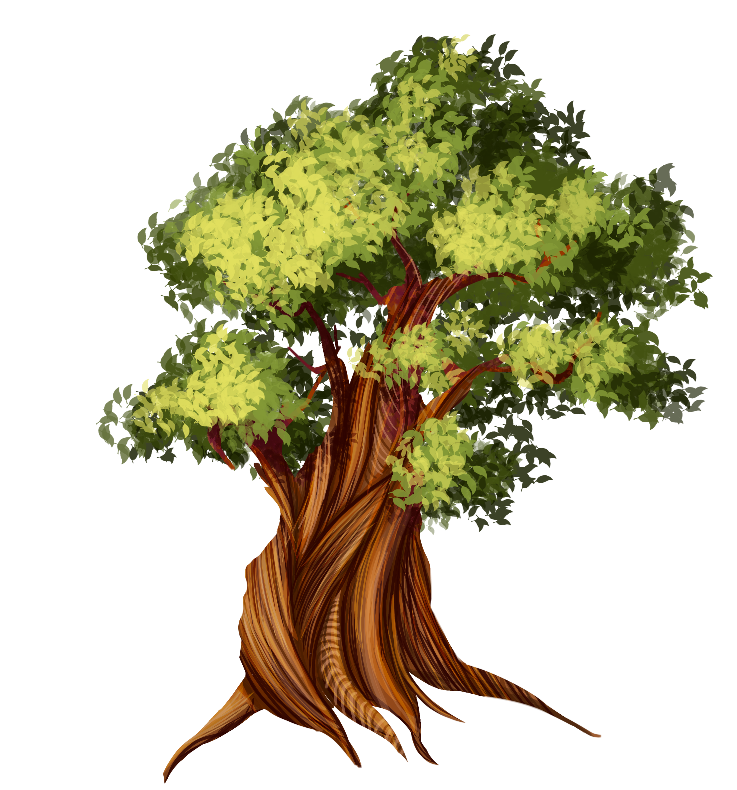 old tree - ibisPaint